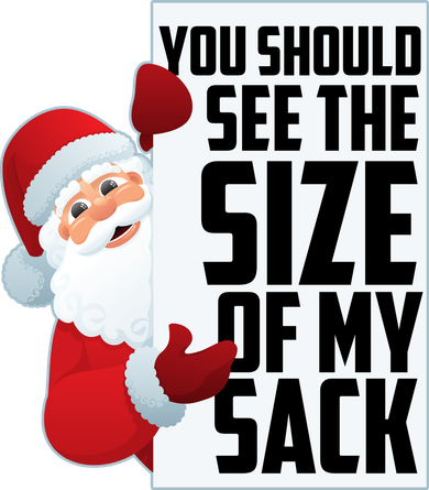 You Should See The Size Of My Sack Funny Santa Claus Bucket Hat