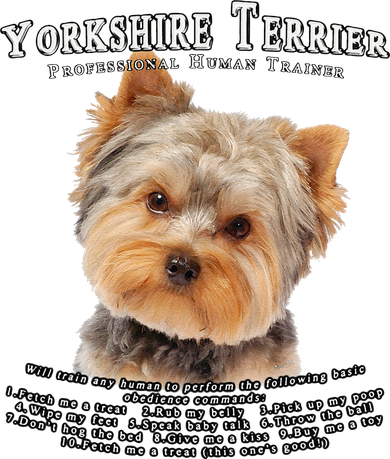 Yorkshire Terrier Yorkie Owner Lover Human Trainer Cute Dog Women's T-Shirt