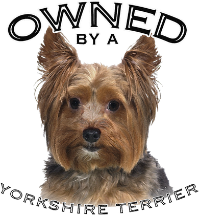 Yorkshire Terrier Yorkie Owner Lover Owned By Cute Dog Women's T-Shirt