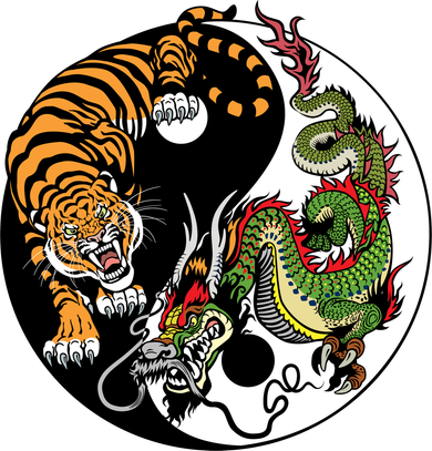 Ying Yang Tiger Dragon Kids Hoodie