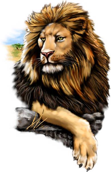 Wildlife - Big Face Proud Lion Portrait Backpack