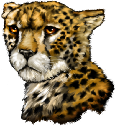 Wildlife - Big Face Cheetah Portrait Women's Tank Top
