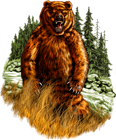 Wildlife - Wild Bear Portrait Women's Sweatshirt