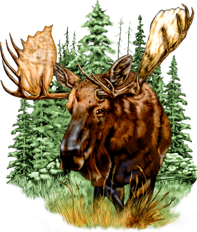Wildlife - Moose Portrait Doggie Tank