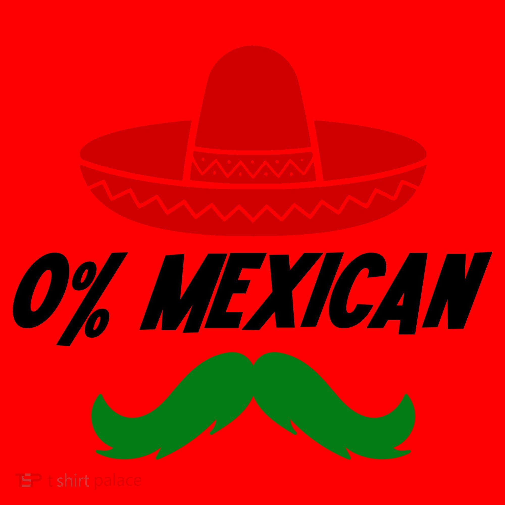 0% Mexican Fiesta Party Cinco De Mayo Funny Santa Hat