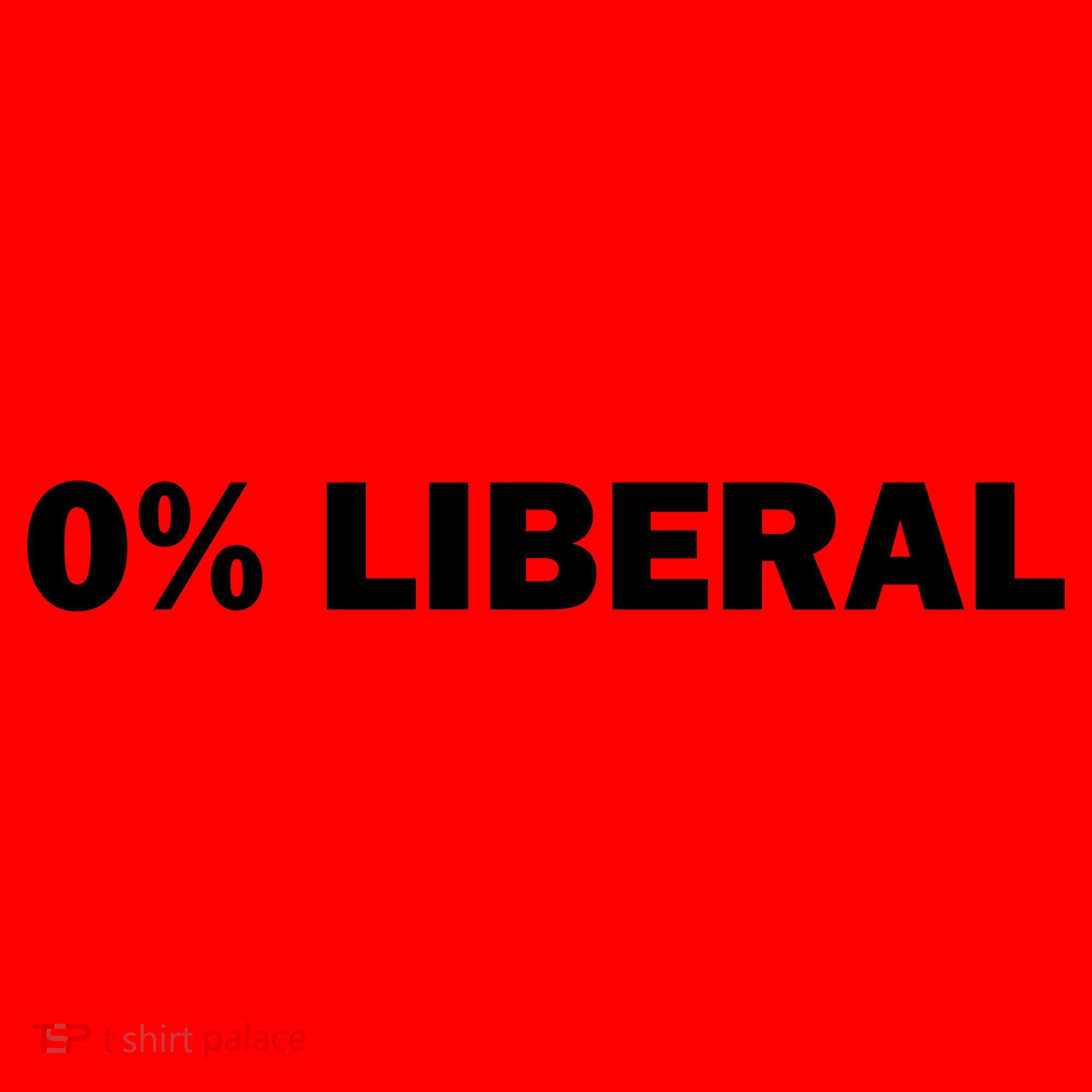 0 Percent Liberal Funny Halloween Costume Gift Idea Santa Hat