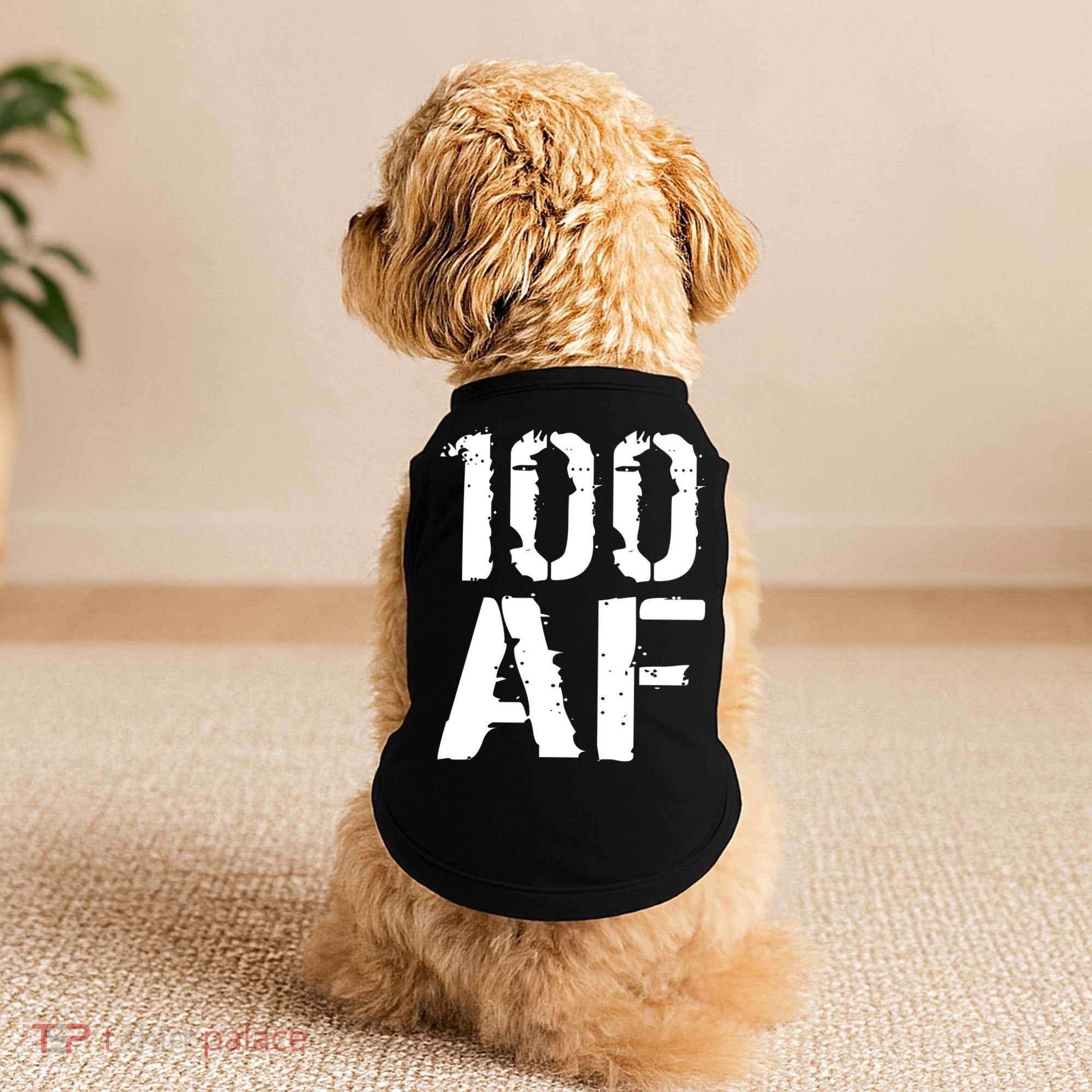 100 AF 100th Birthday Doggie Tank