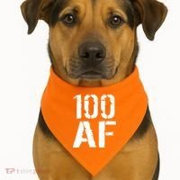 100 AF 100th Birthday USA-Made Doggie Bandana thumb 1
