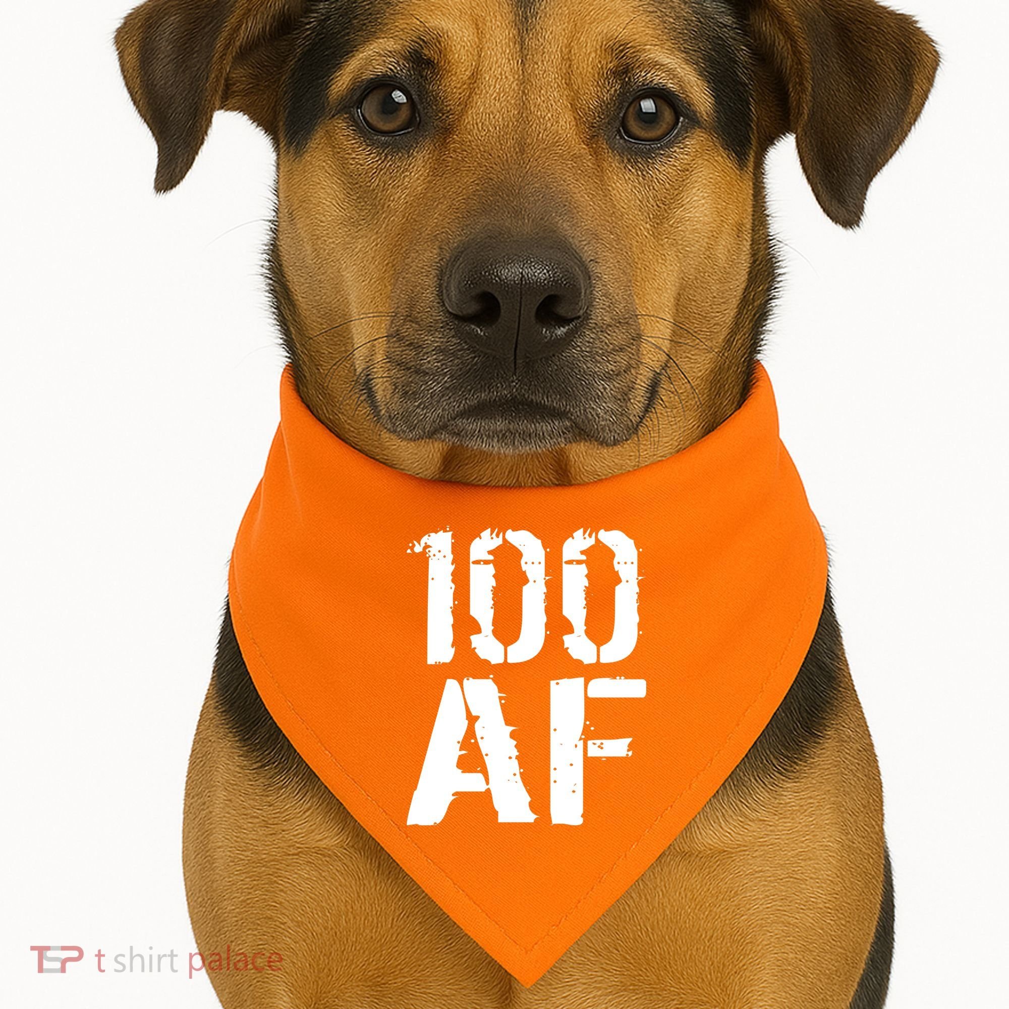 100 AF 100th Birthday USA-Made Doggie Bandana