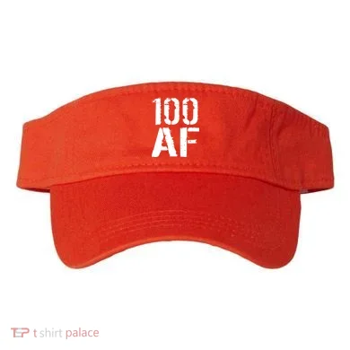 Visor