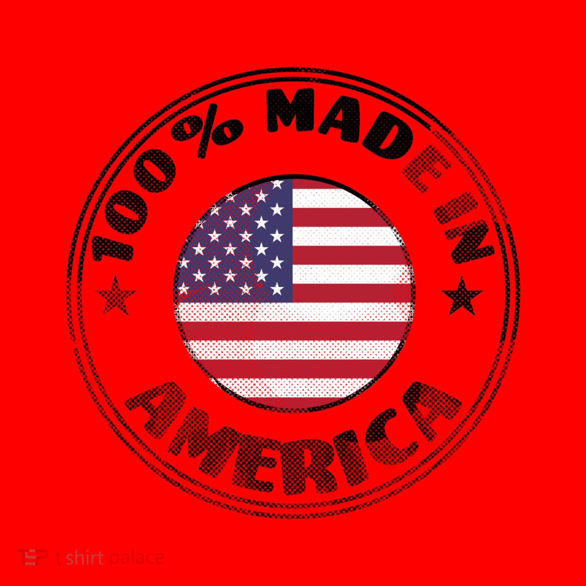 100% Made In America Santa Hat