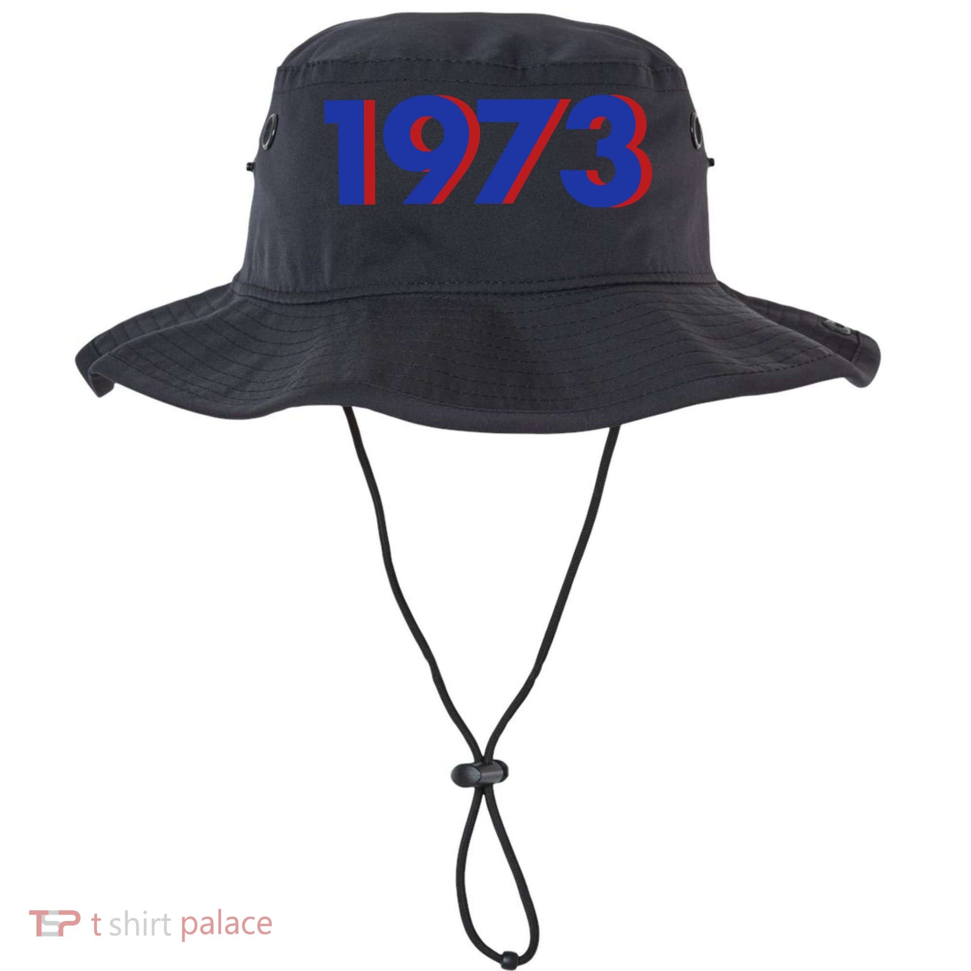 1973 1973 Support Roe V Wade, Pro Choice, Protect Roe V Wade Bucket Hat