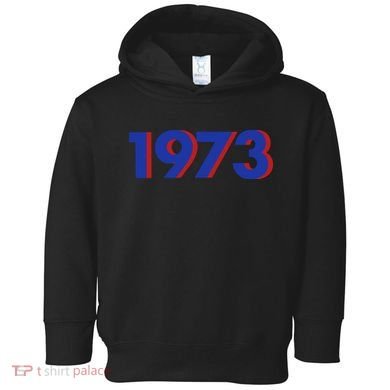 1973 1973 Support Roe V Wade, Pro Choice, Protect Roe V Wade Toddler Hoodie