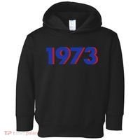1973 1973 Support Roe V Wade, Pro Choice, Protect Roe V Wade Toddler Hoodie thumb 0