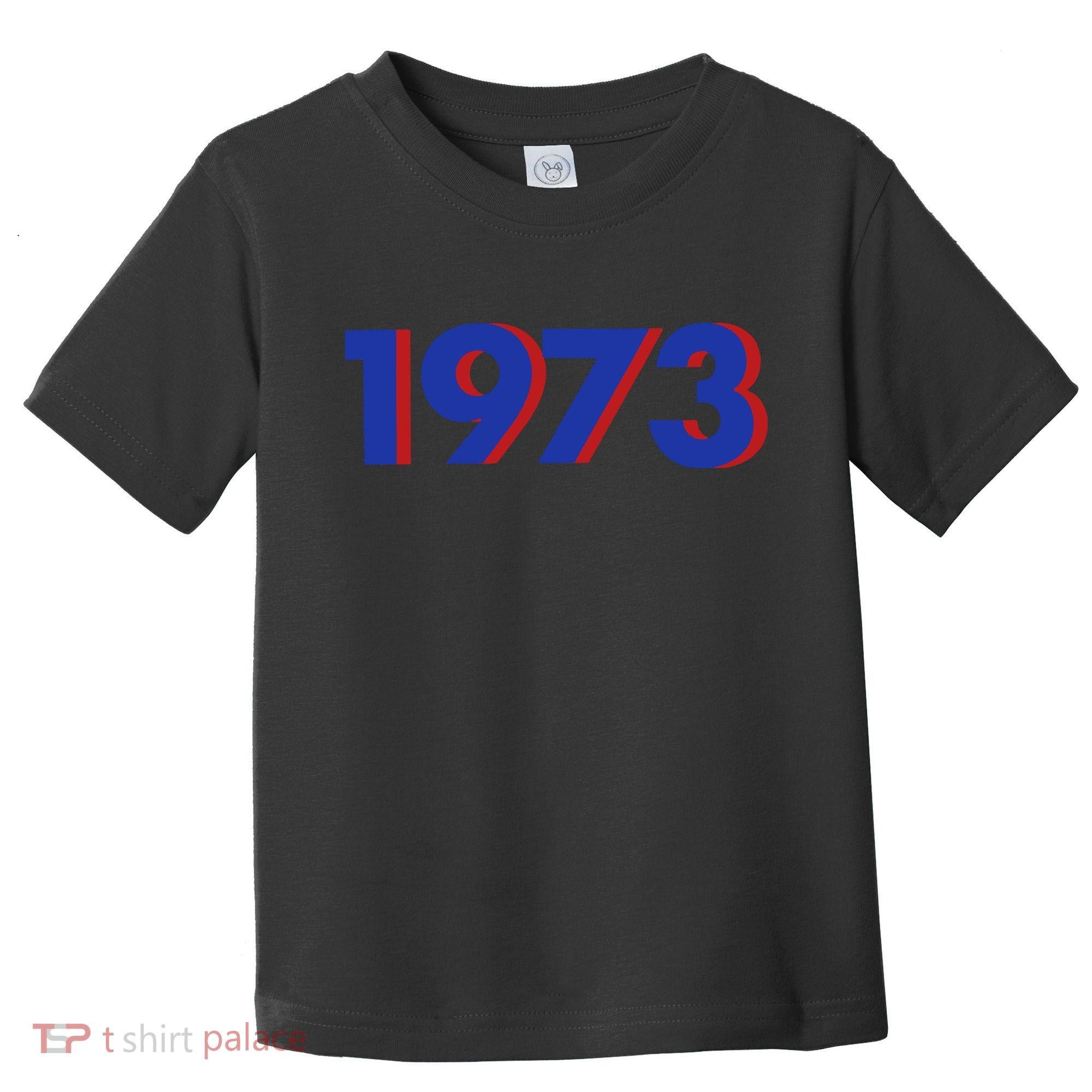 1973 1973 Support Roe V Wade, Pro Choice, Protect Roe V Wade Toddler T-Shirt