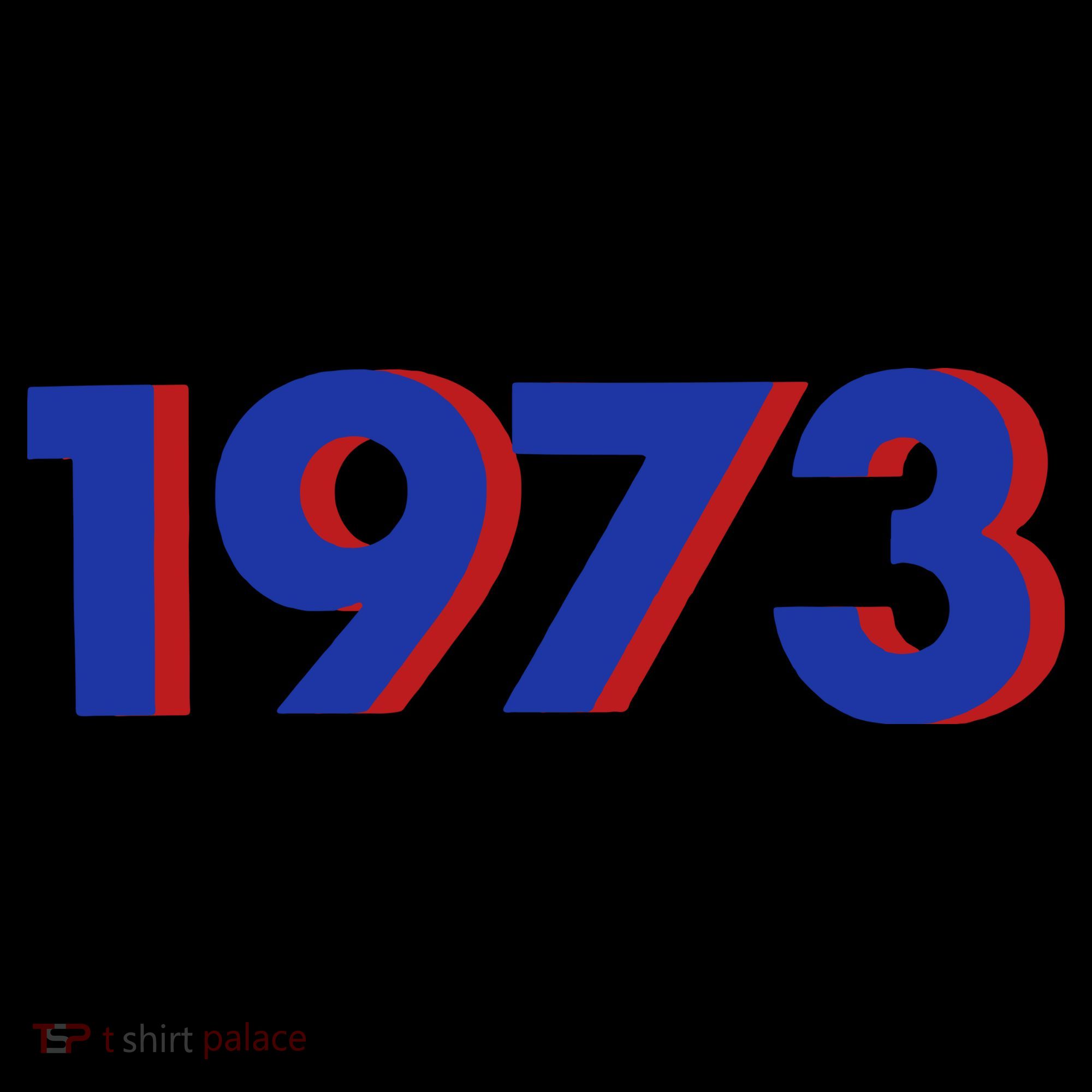1973 1973 Support Roe V Wade, Pro Choice, Protect Roe V Wade Women's Long Sleeve Shirt