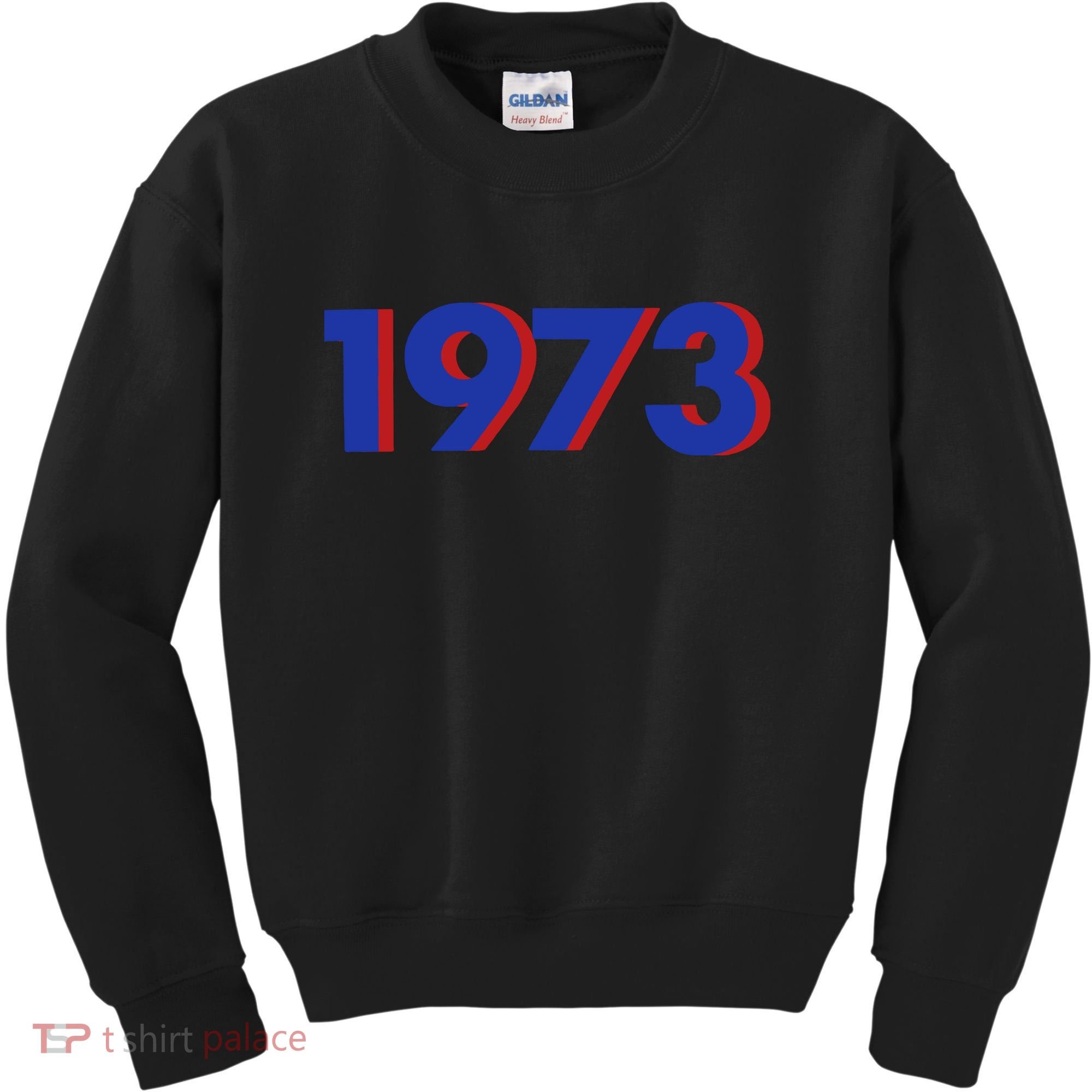 1973 1973 Support Roe V Wade, Pro Choice, Protect Roe V Wade Kids Sweatshirt