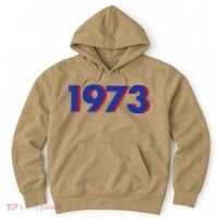 1973 1973 Support Roe V Wade, Pro Choice, Protect Roe V Wade Hoodie thumb 0