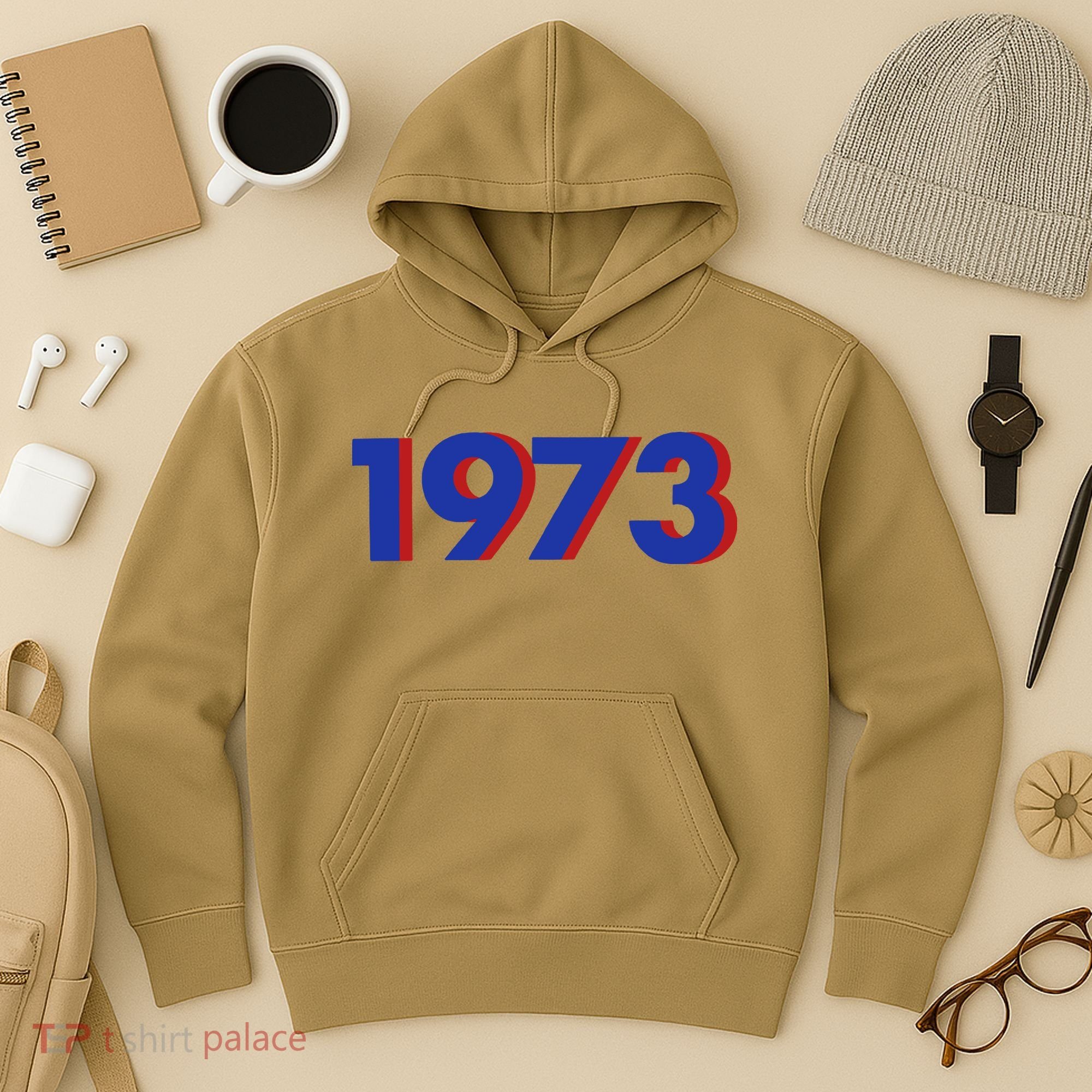 1973 1973 Support Roe V Wade, Pro Choice, Protect Roe V Wade Hoodie