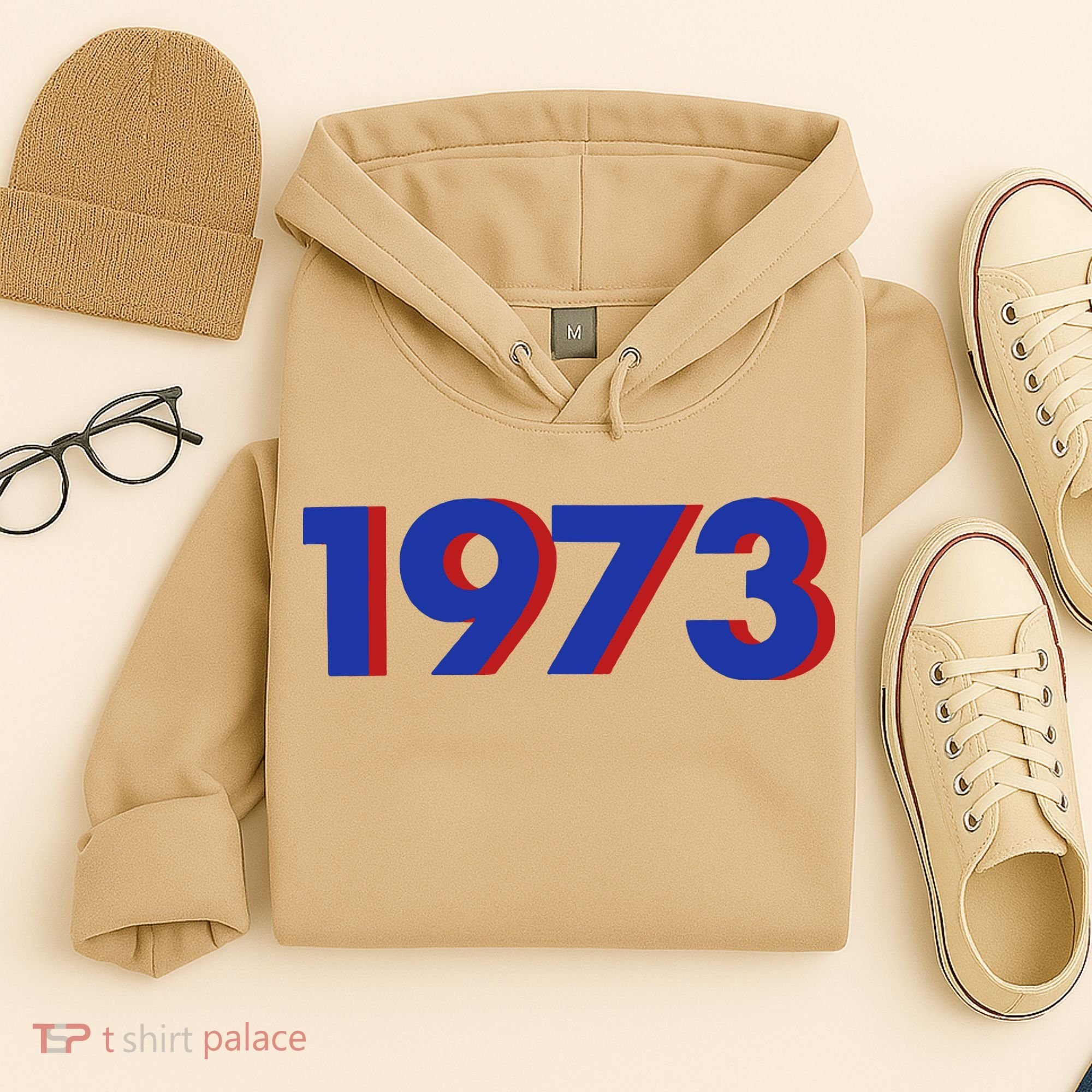 1973 1973 Support Roe V Wade, Pro Choice, Protect Roe V Wade Hoodie