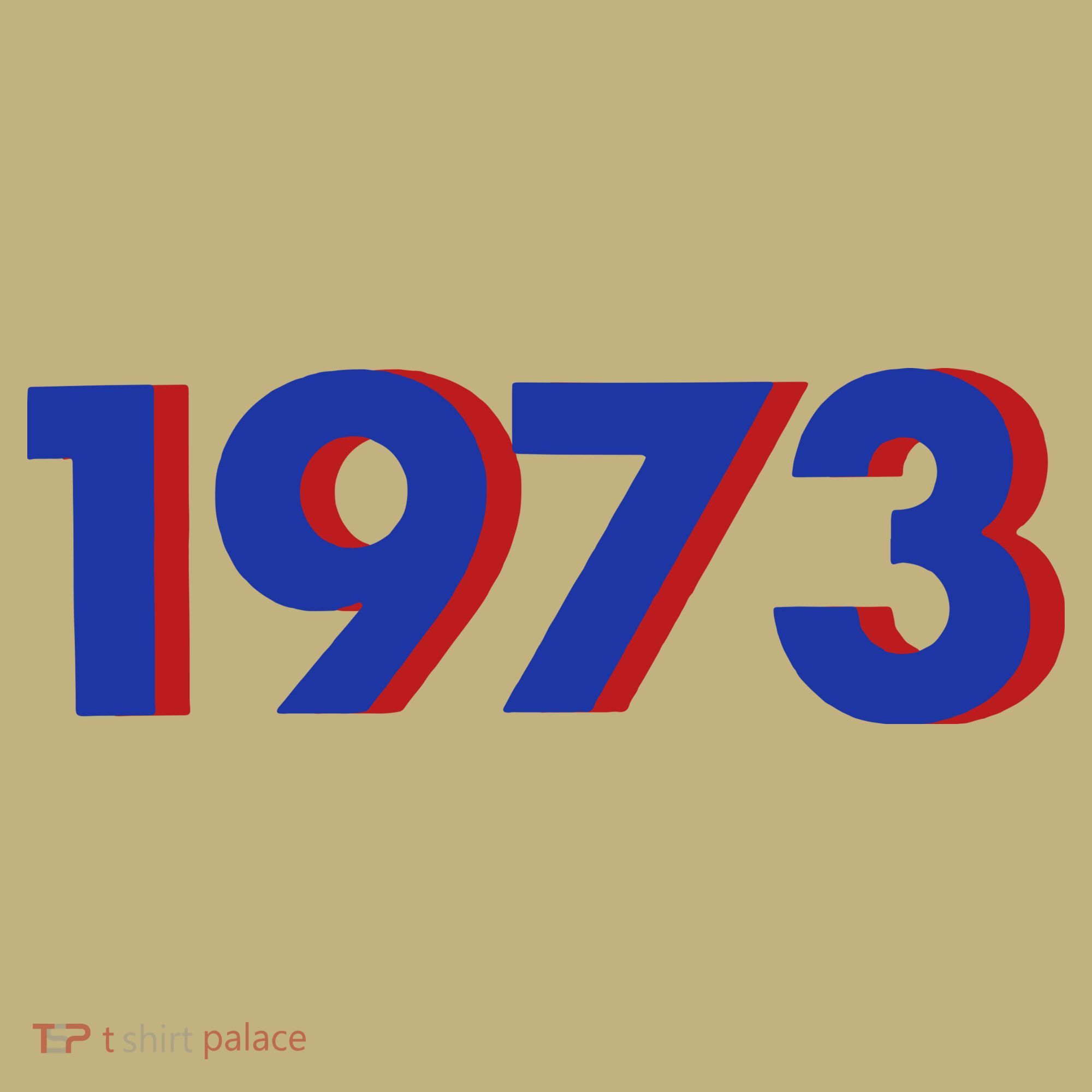 1973 1973 Support Roe V Wade, Pro Choice, Protect Roe V Wade Hoodie