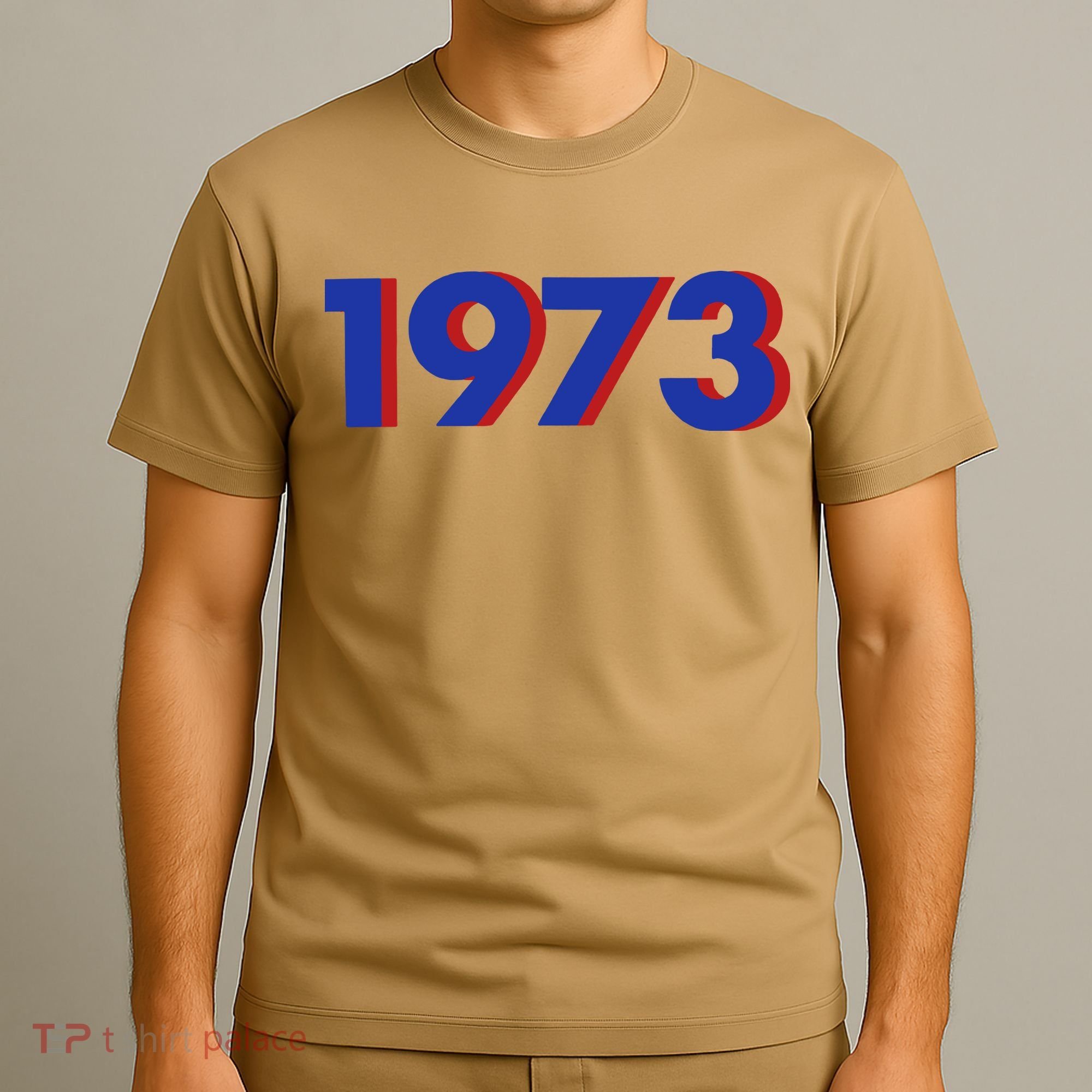 1973 1973 Support Roe V Wade, Pro Choice, Protect Roe V Wade T-Shirt