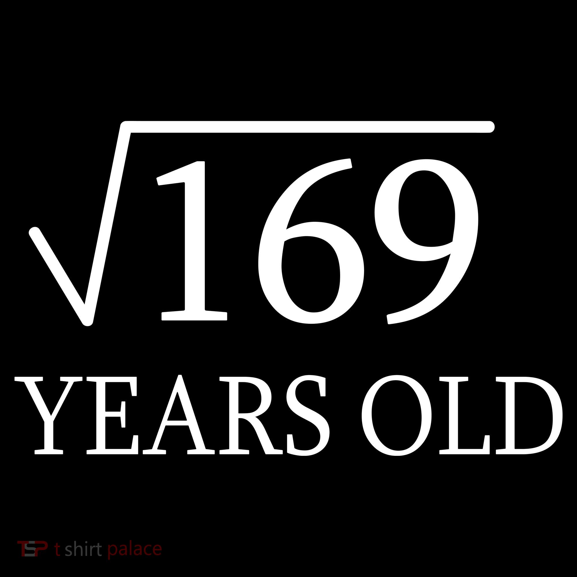 13 Years Old Square Root of 169 Long Sleeve Shirt