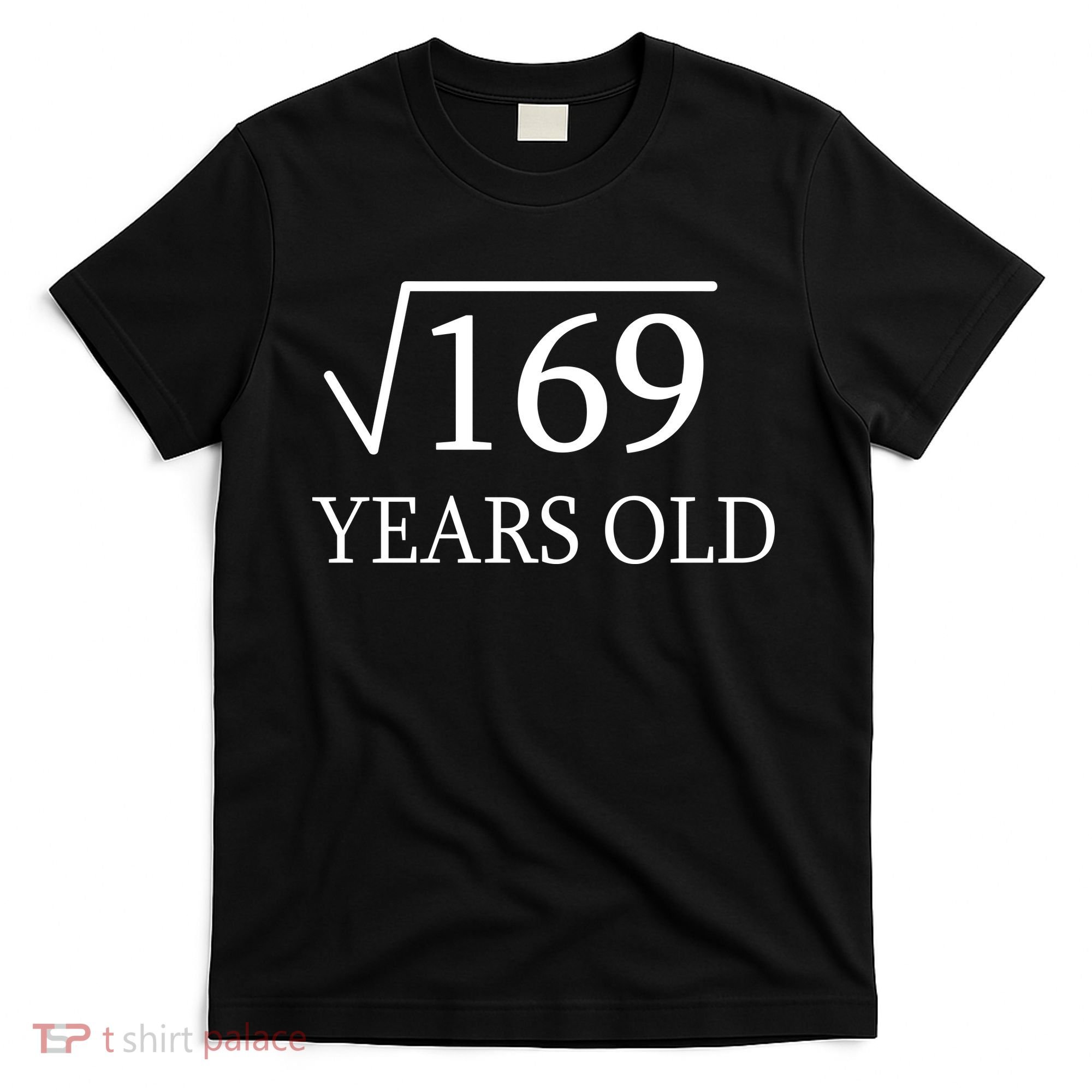 13 Years Old Square Root of 169 T-Shirt