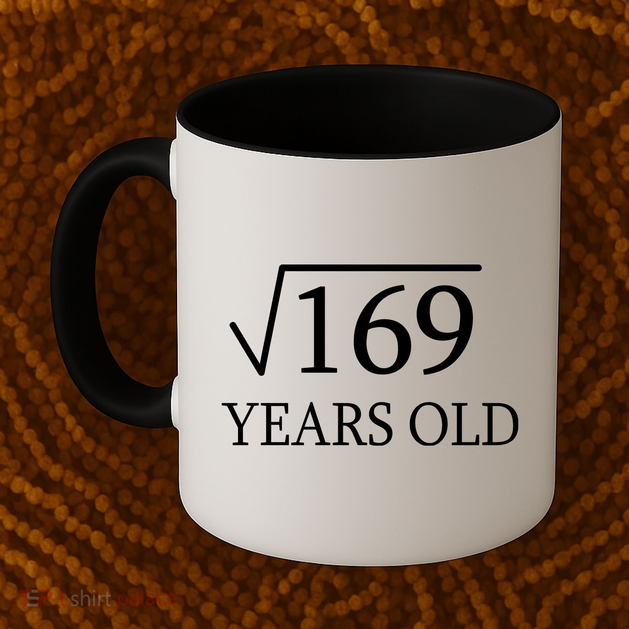 13 Years Old Square Root of 169 Coffee Mug