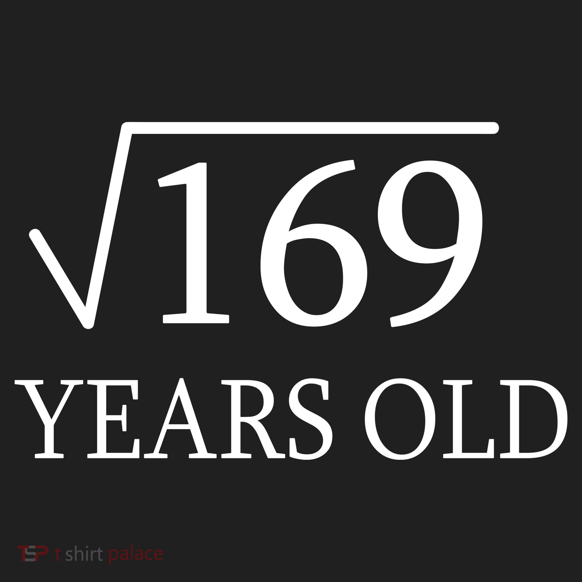 13 Years Old Square Root of 169 Beanie