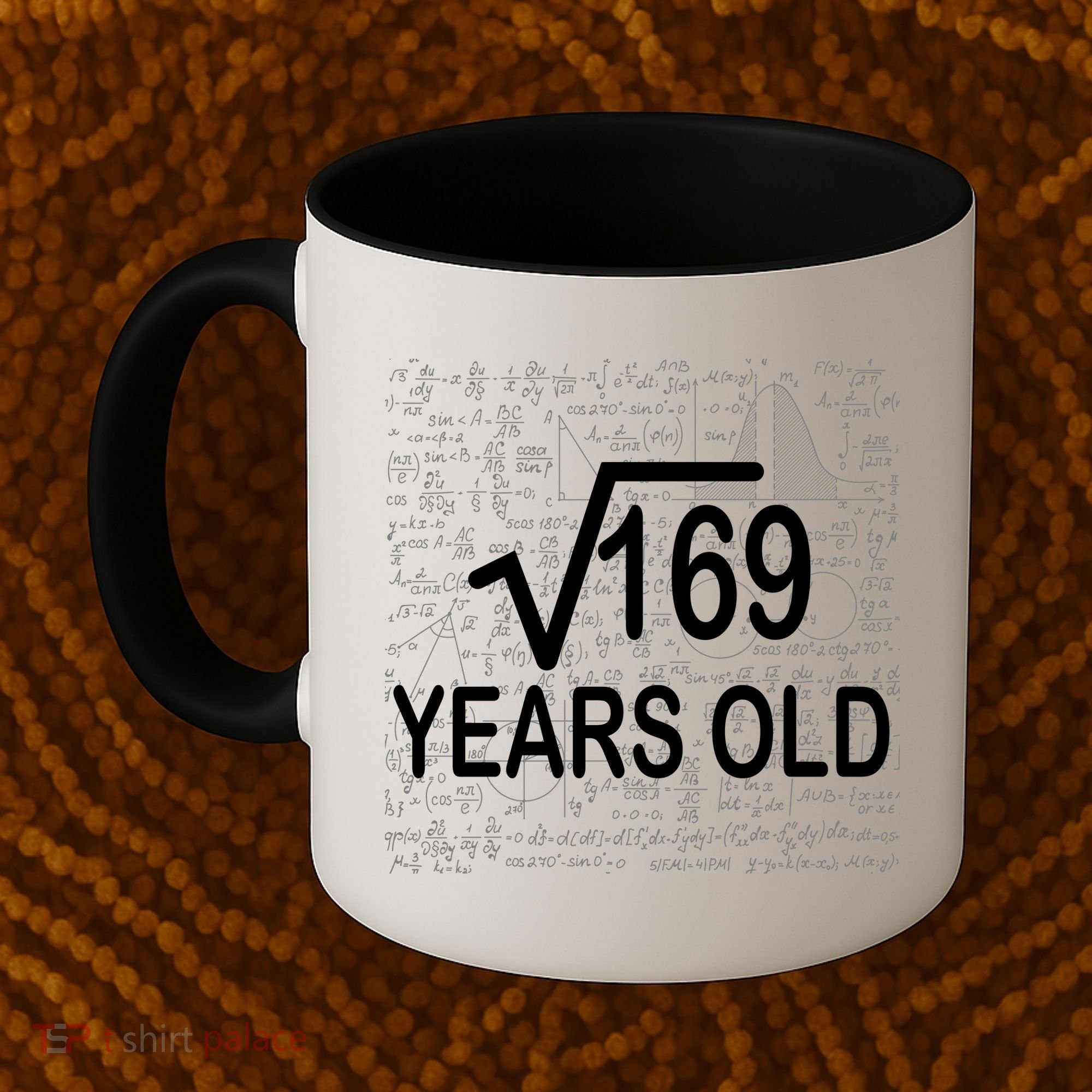 13th Birthday Square Root 169 Math Coffee Mug