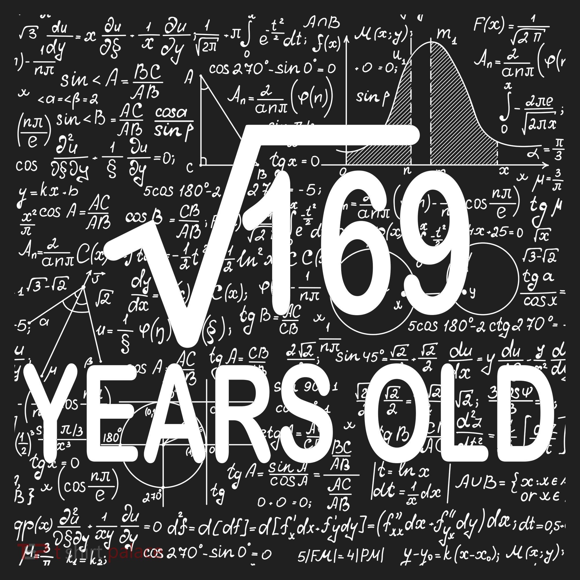 13th Birthday Square Root 169 Math Tumbler