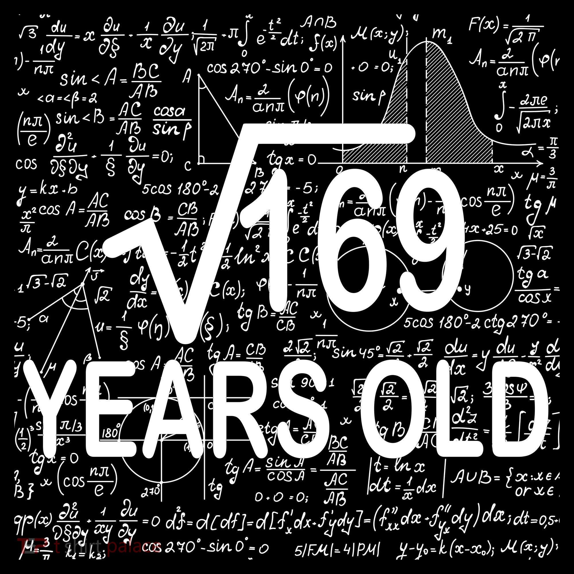 13th Birthday Square Root 169 Math Ornament