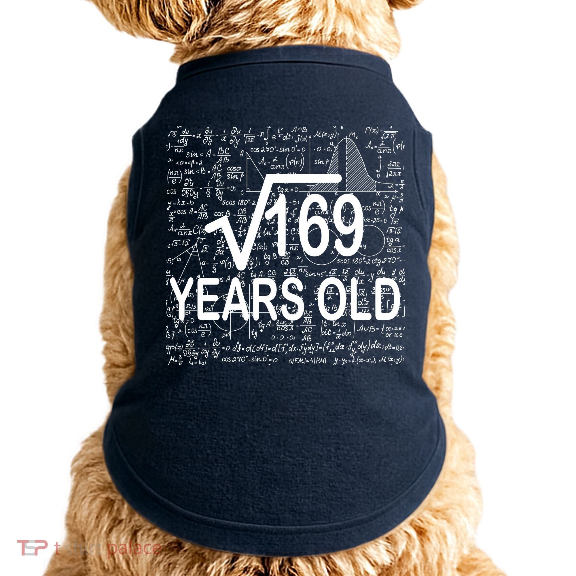 13th Birthday Square Root 169 Math Doggie Tank