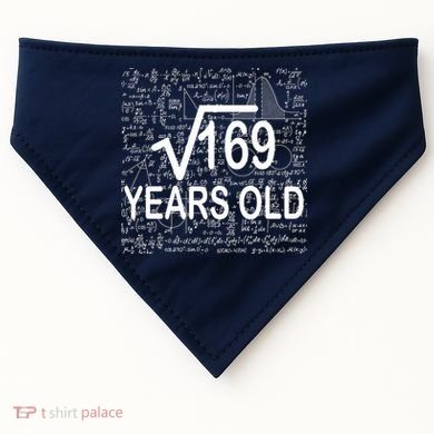 13th Birthday Square Root 169 Math USA-Made Doggie Bandana