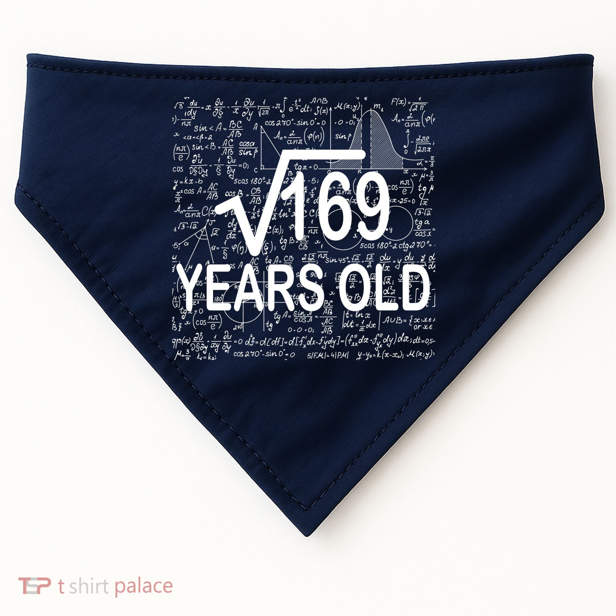 13th Birthday Square Root 169 Math USA-Made Doggie Bandana