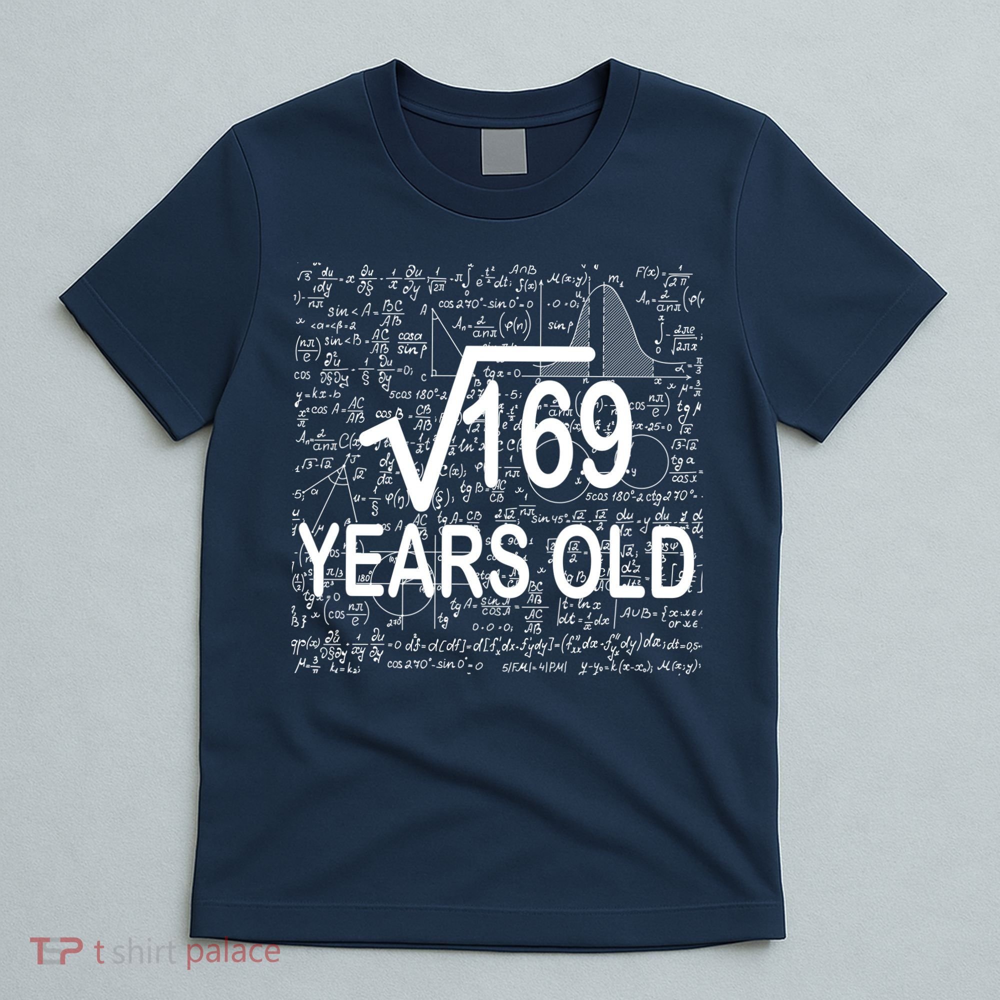 13th Birthday Square Root 169 Math T-Shirt