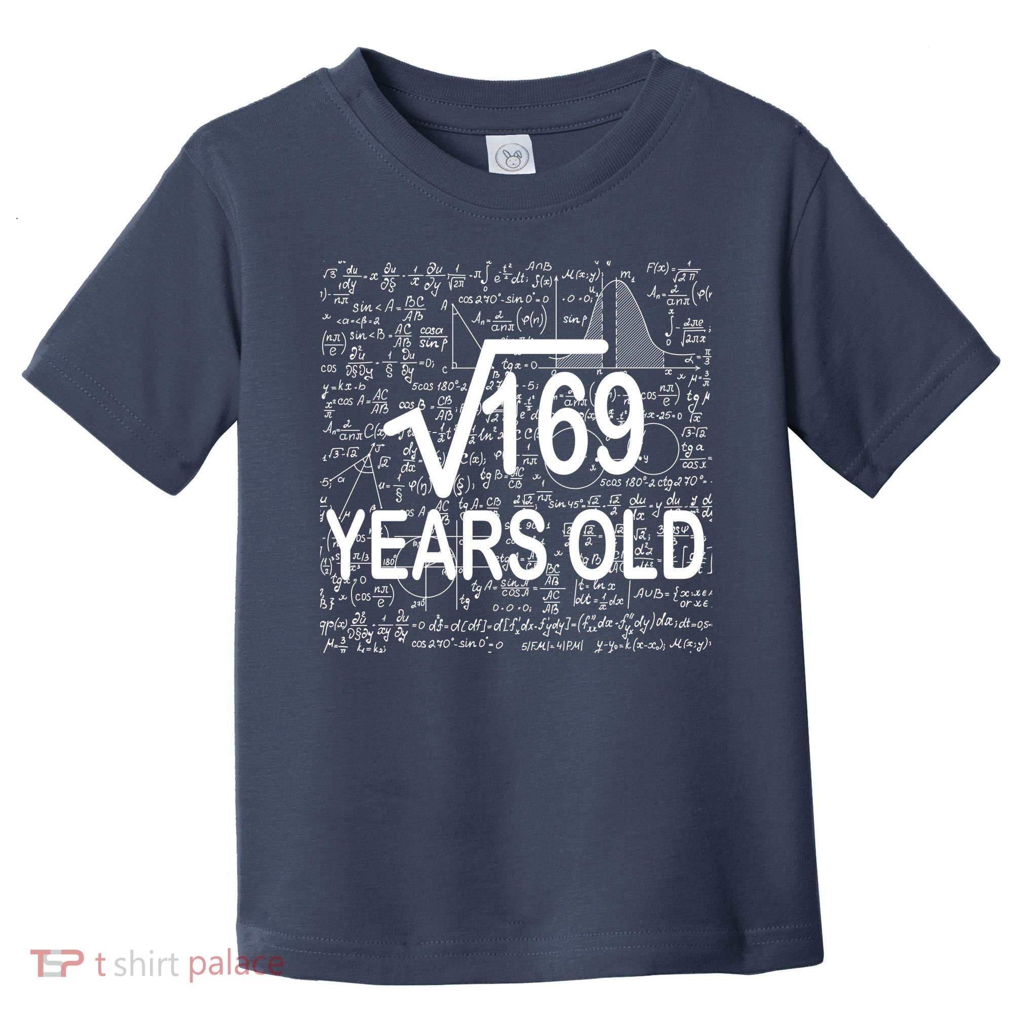 13th Birthday Square Root 169 Math Toddler T-Shirt