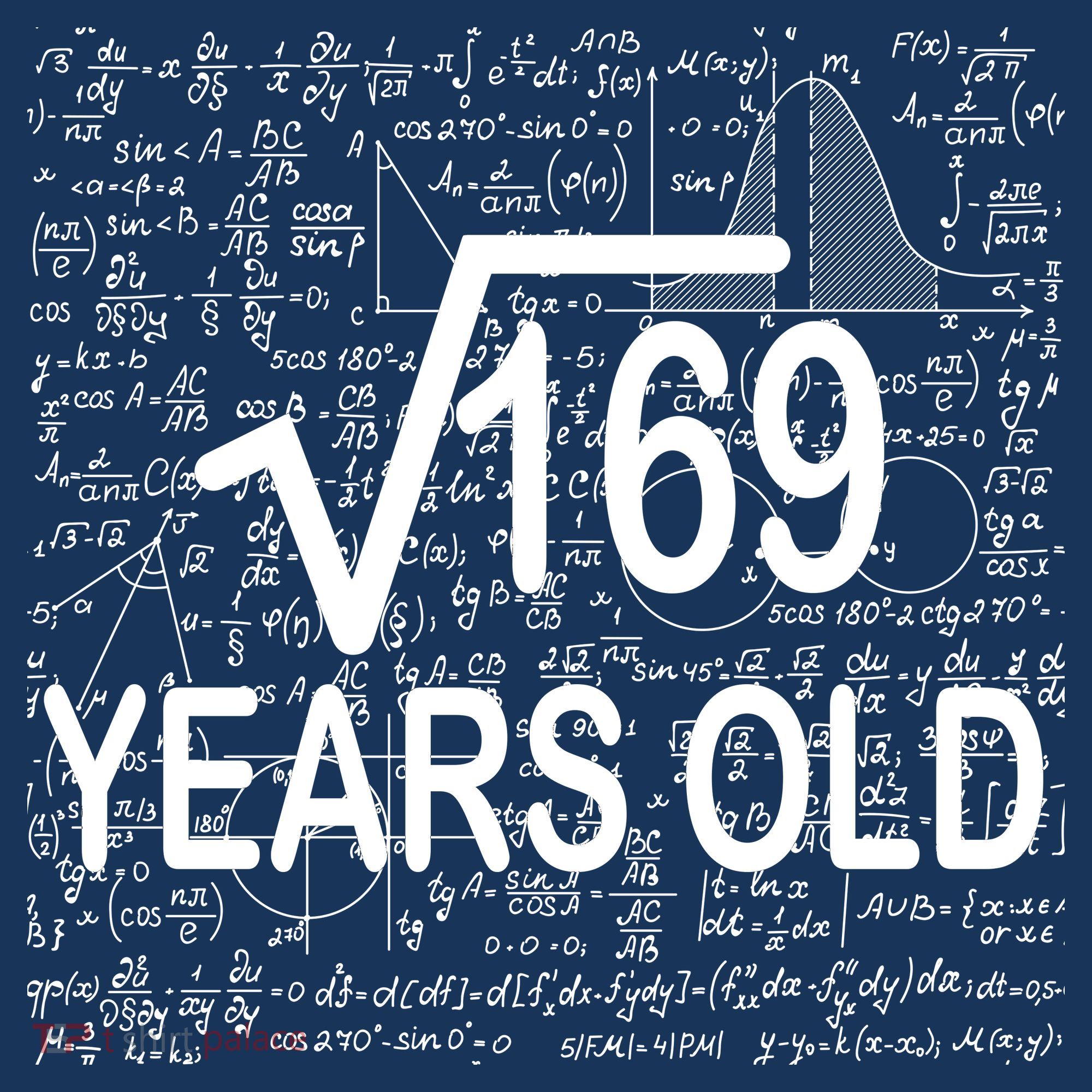 13th Birthday Square Root 169 Math Kids Long Sleeve Shirt