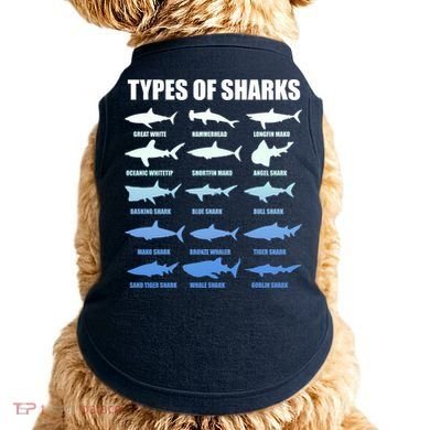 15 Types of Sharks Doggie Tank