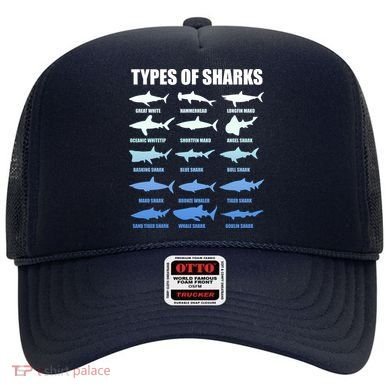 15 Types of Sharks Hat