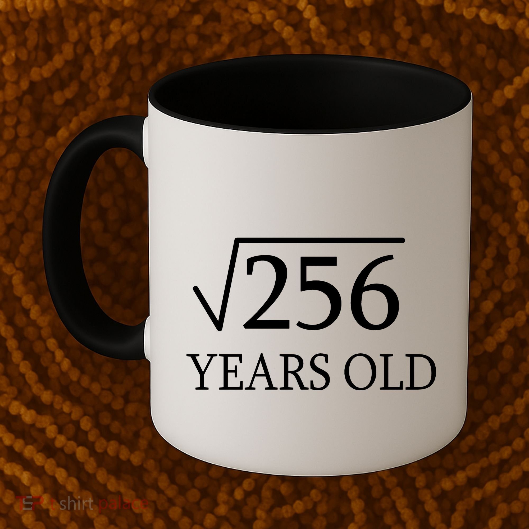 16th birthday Square Root of 256 Coffee Mug