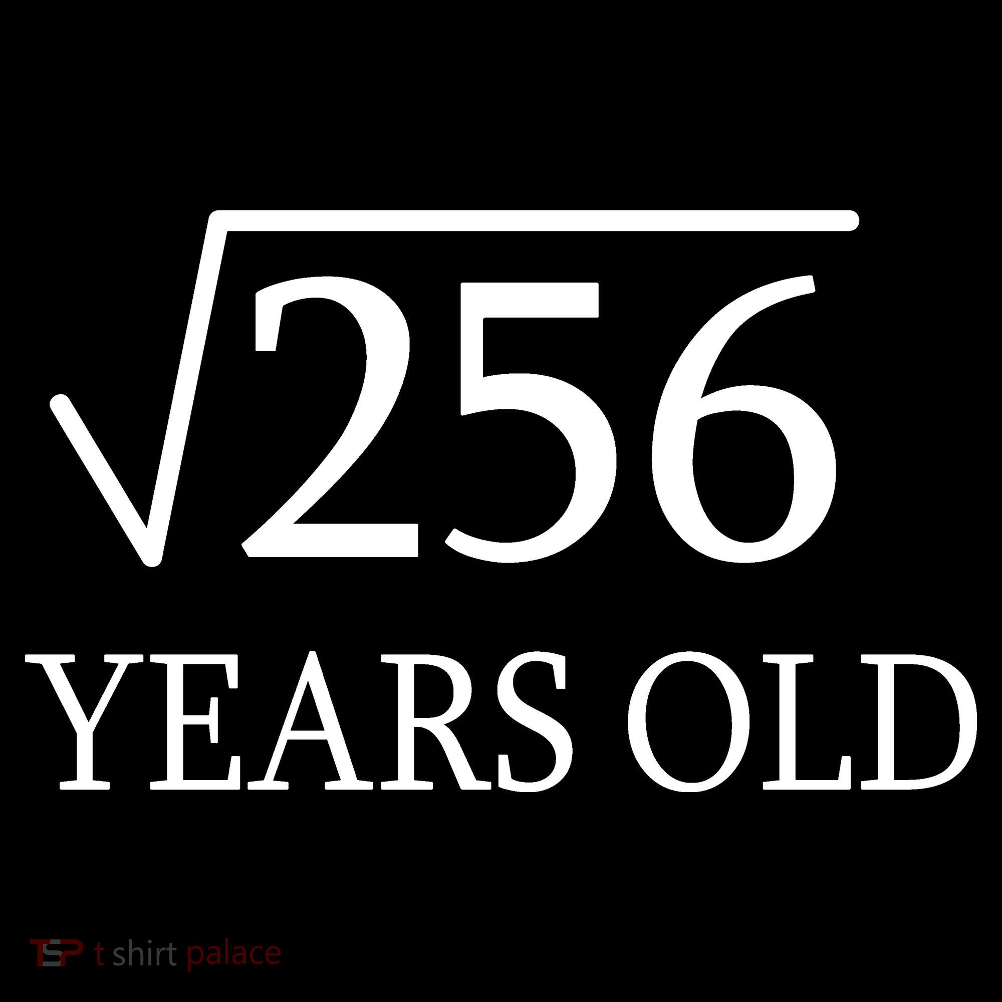 16th birthday Square Root of 256 Women's Hoodie