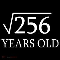 16th birthday Square Root of 256 Ornament thumb 1