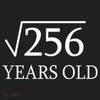 16th birthday Square Root of 256 Hat thumb 2