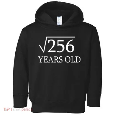 16th birthday Square Root of 256 Toddler Hoodie