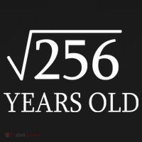 16th birthday Square Root of 256 Toddler Hoodie thumb 2