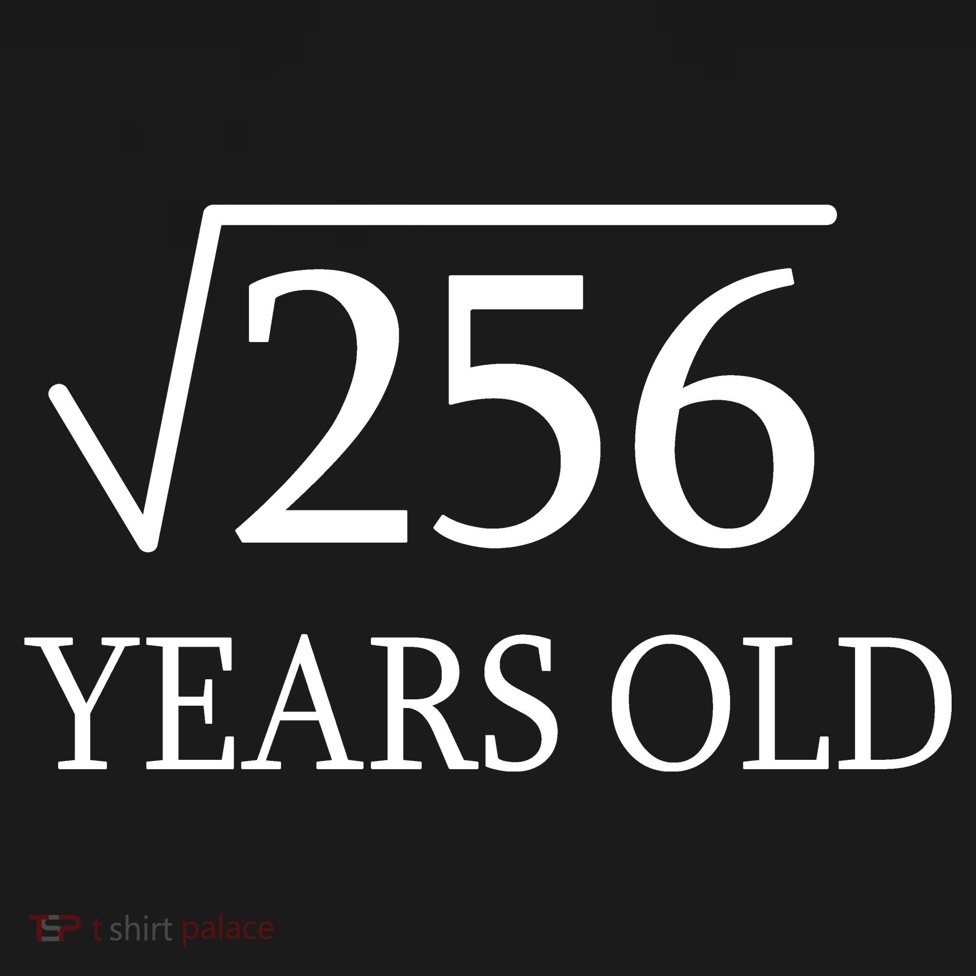 16th birthday Square Root of 256 Kids Sweatshirt