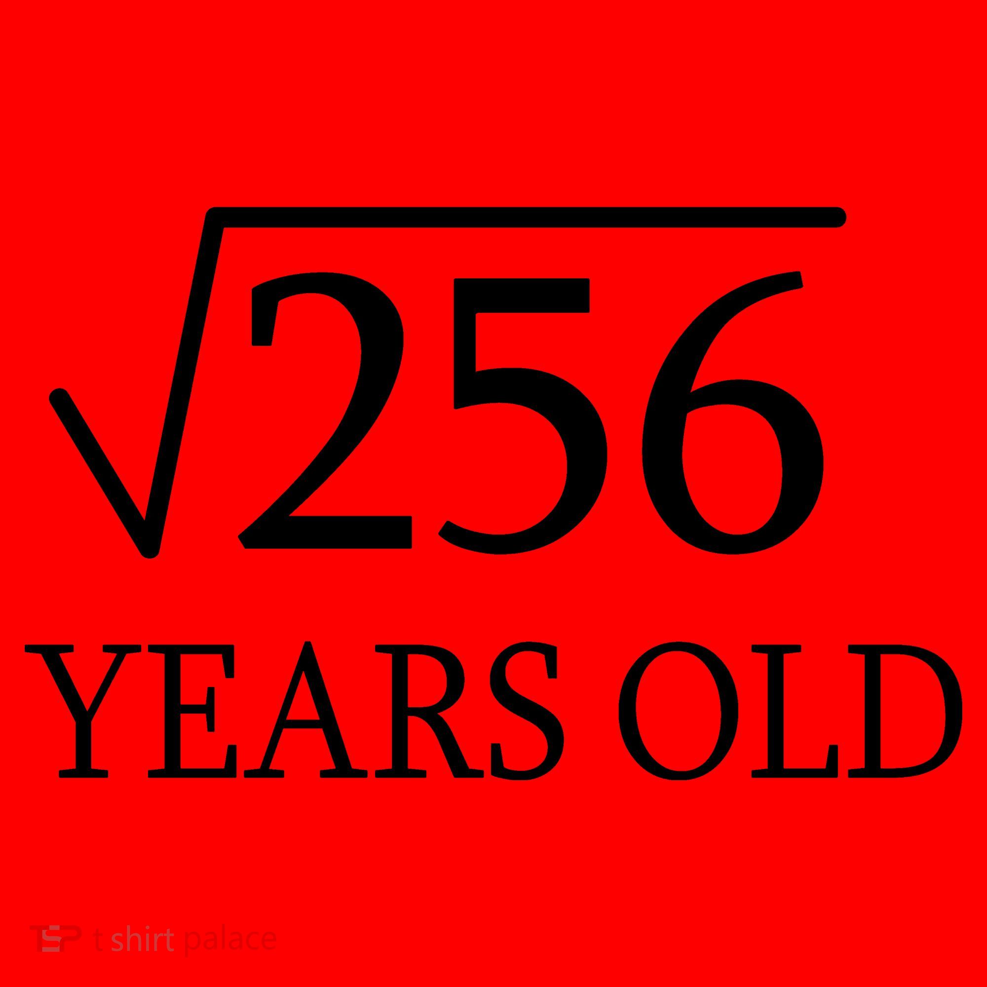 16th birthday Square Root of 256 Santa Hat