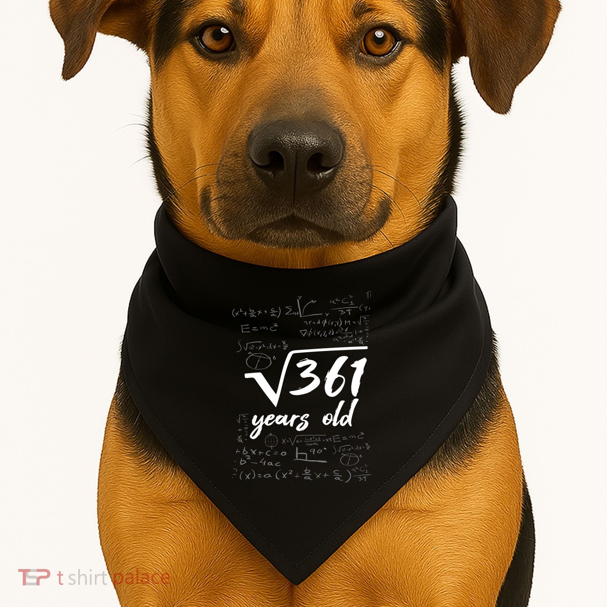 19 Year Old Birthday Math Geek USA-Made Doggie Bandana